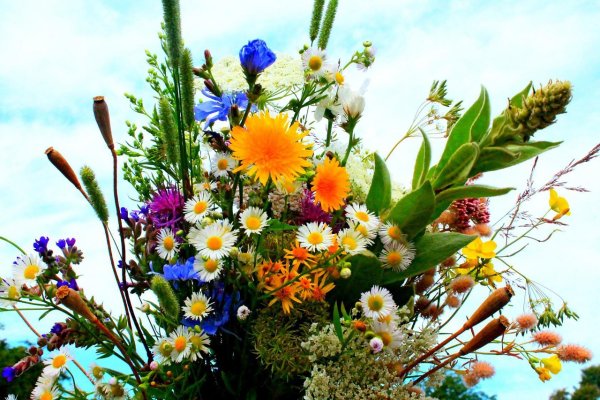 Букет луговых цветов