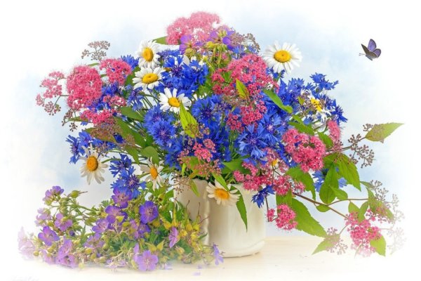 С днём рождения полевые цветы