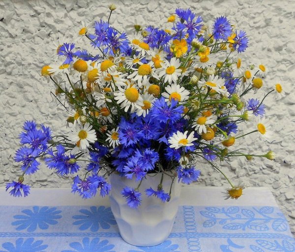 Букет полевых Васильков