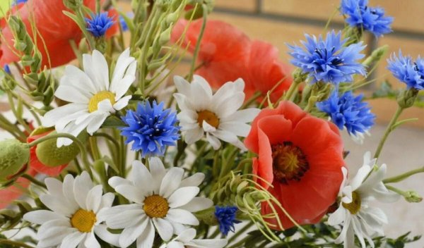 Мак Ромашка Василек