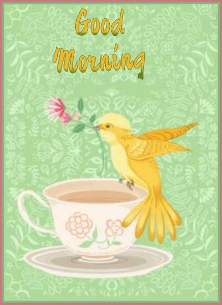 Get well soon открытка