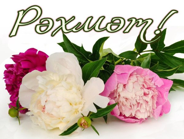 Открытки спасибо на татарском языке