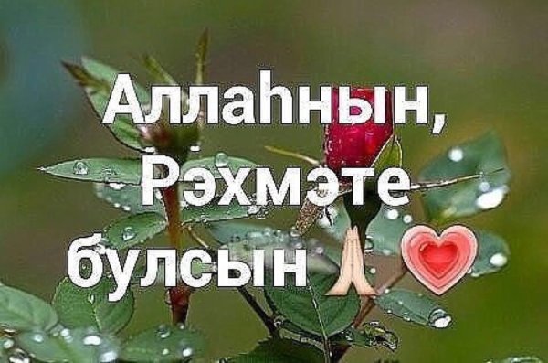 Открытки с благодарностью на татарском языке