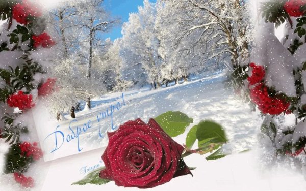 Пожелания с добрым зимним утром