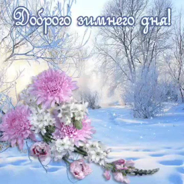 С добрым зимним утром