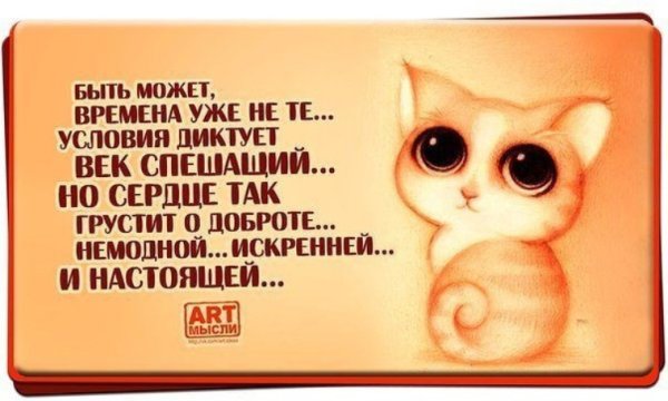 Умные и смешные высказывания