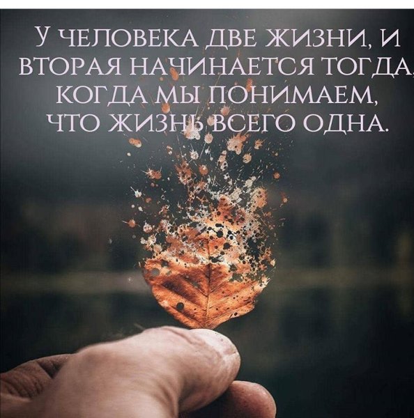 Красивые фразы