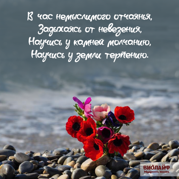 Красивые слова про жизнь