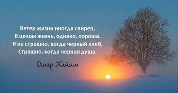 Стихи со смыслом Мудрые о жизни