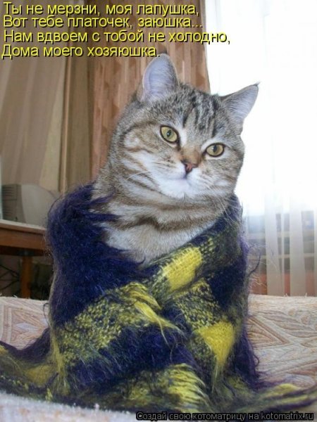 Холодно одевайся теплее