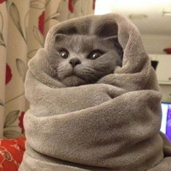 Холод прикольные