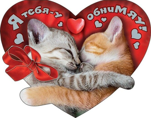 Хочу обнимашки и целовашки