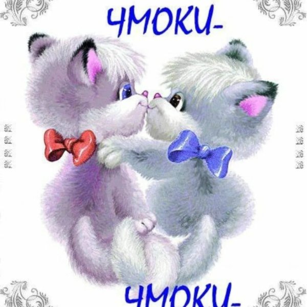 Красивые слова любимому мужчине