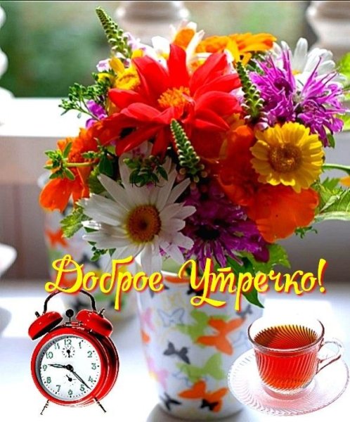 Доброе утро Татьяна Александровна