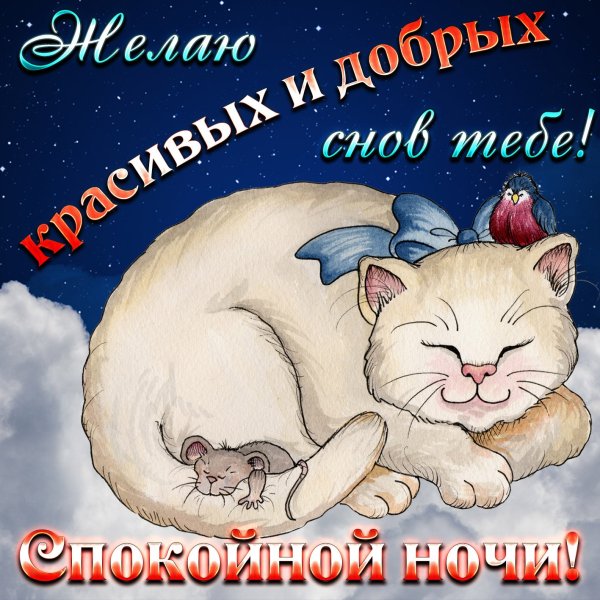 Пожелания сладких снов