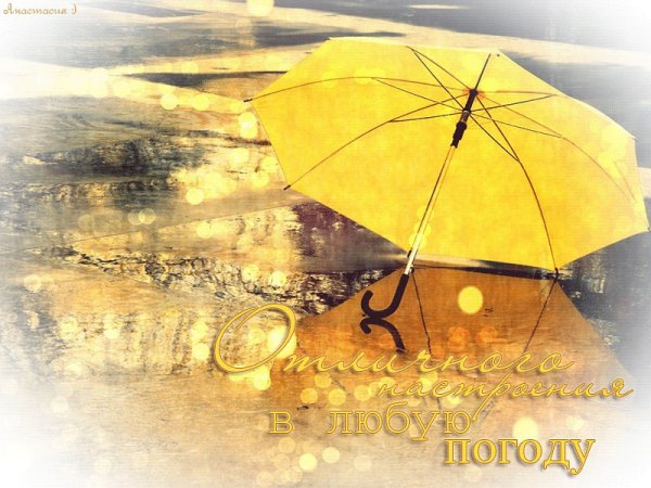 Хорошего настроения в дождливую погоду