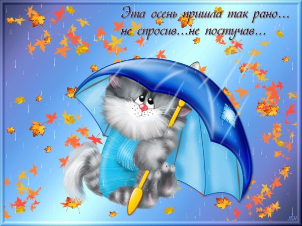 Поцелюк Ольга Владимировна