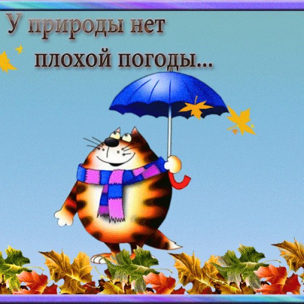 Сердце под зонтом