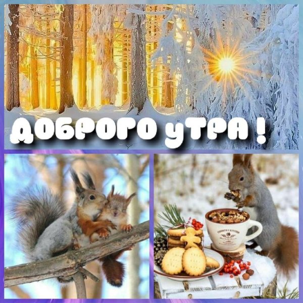 С добрым зимним утром прикольные