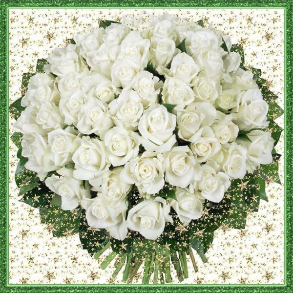Красивый букет белых роз