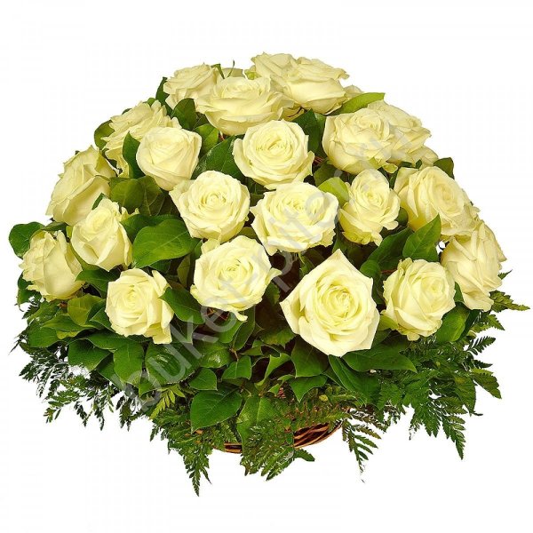 Роза Аваланж