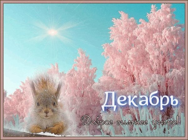 Доброе морозное утро