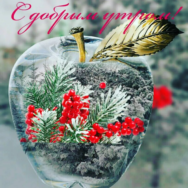 Чудесного зимнего утра