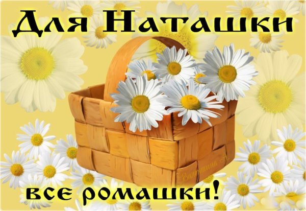 Ромашки для Наташки