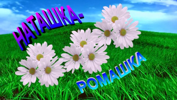 Фон для презентации ромашки