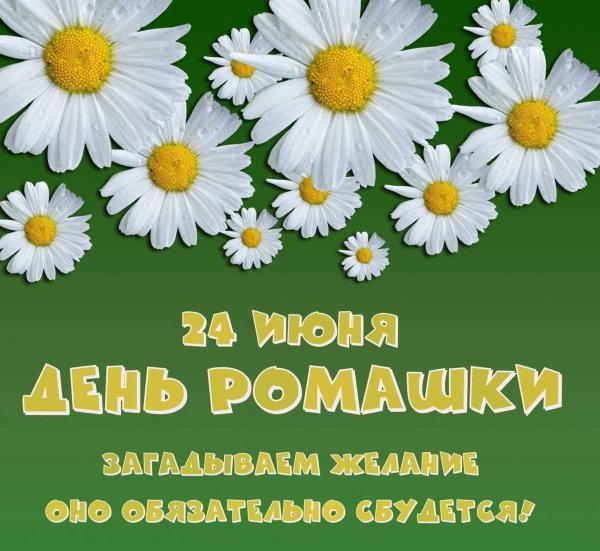 Ромашки для Натишки с днём рождения