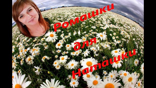 Цветы для Наташки