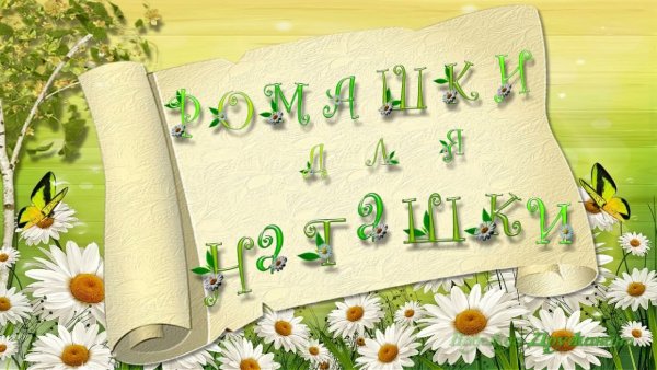 Букет ромашек для Наташи