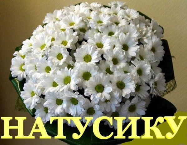 Доброе утро ромашки от Наташки