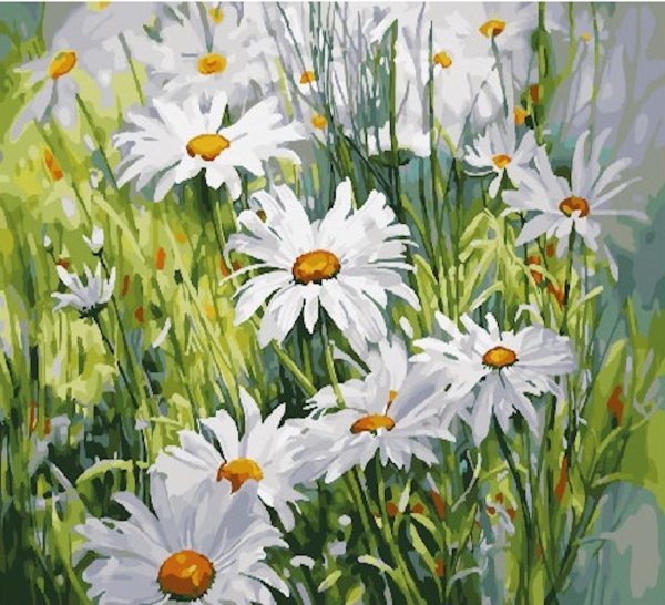 Ромашки для Наташки