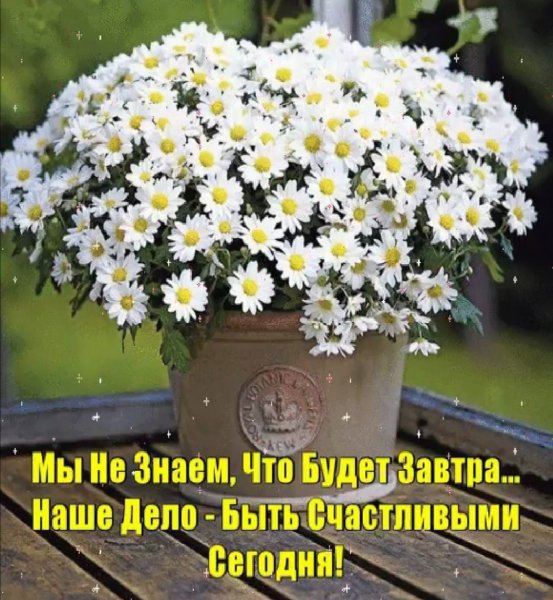 Ромашки для Наташки именины