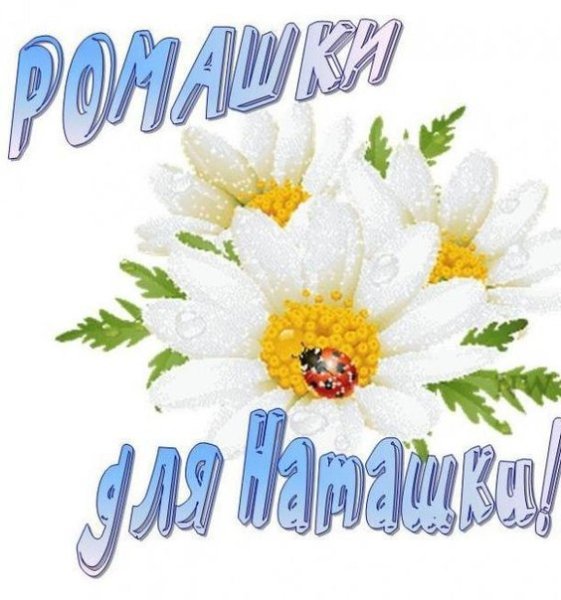 Поздравления с днём рождения ромашки