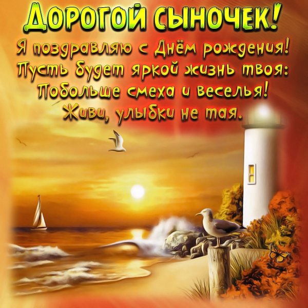 Поздравления с днём рождения сыгу