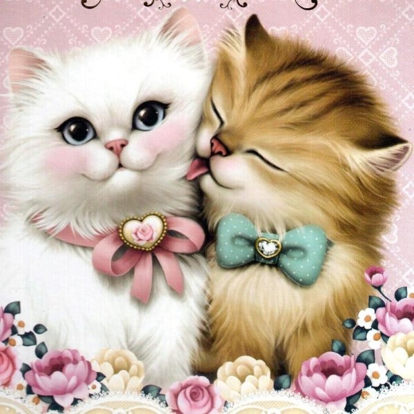 Открытка "кот"