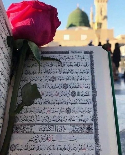 Мусульманские цветы