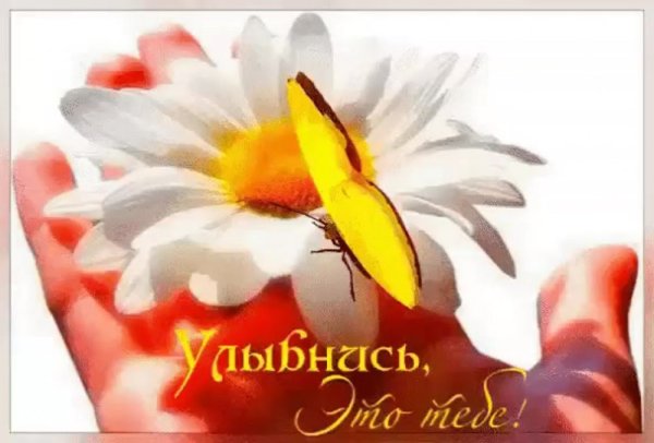 Дарю вам счастье