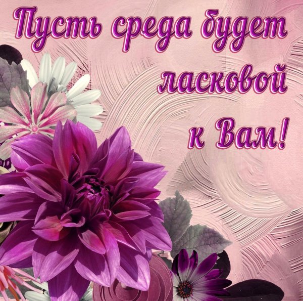 Пожелания доброй среды