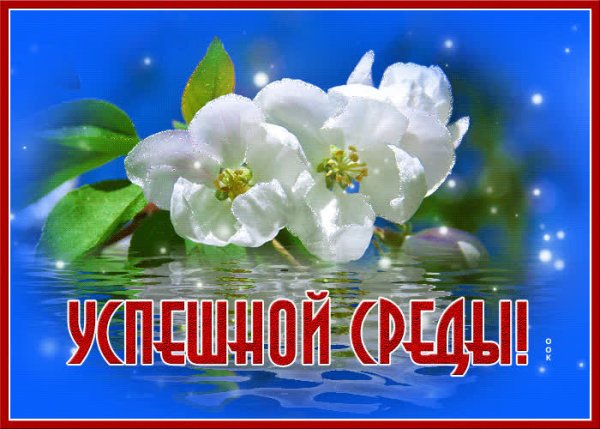 Открытки с весенней средой