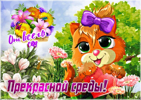 Прекрасной среды