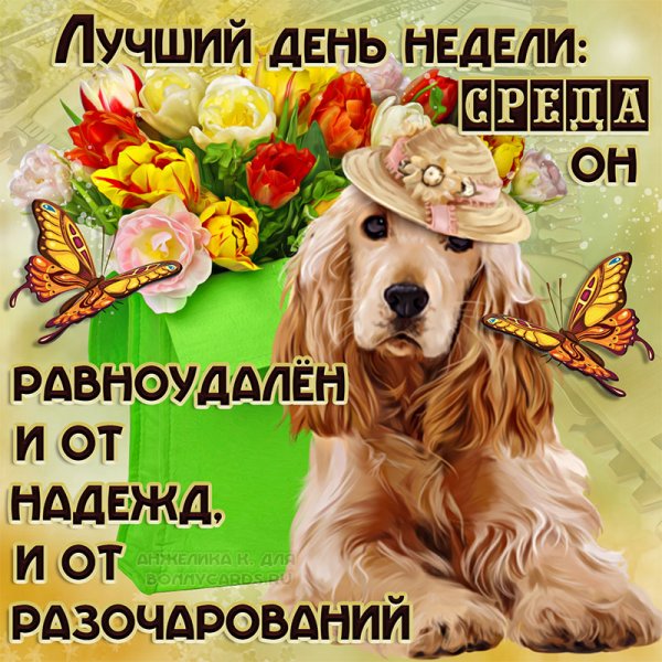 Хорошего дня среды