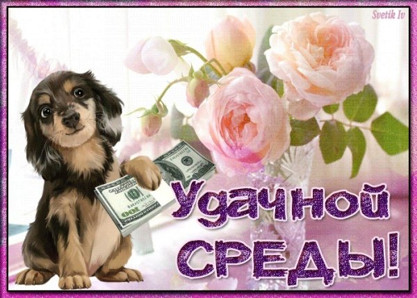 Открытки отличной среды