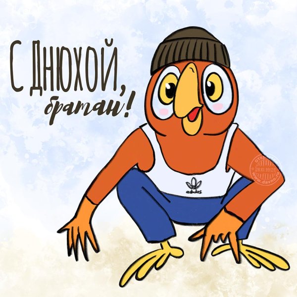 Смешные поздравления с днем рождения