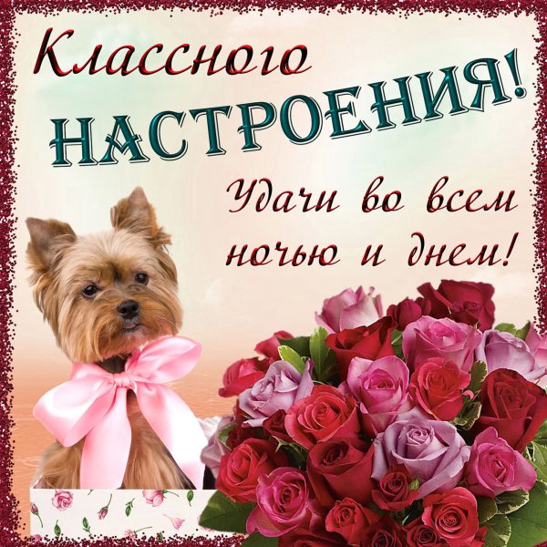 Пожелания настроения