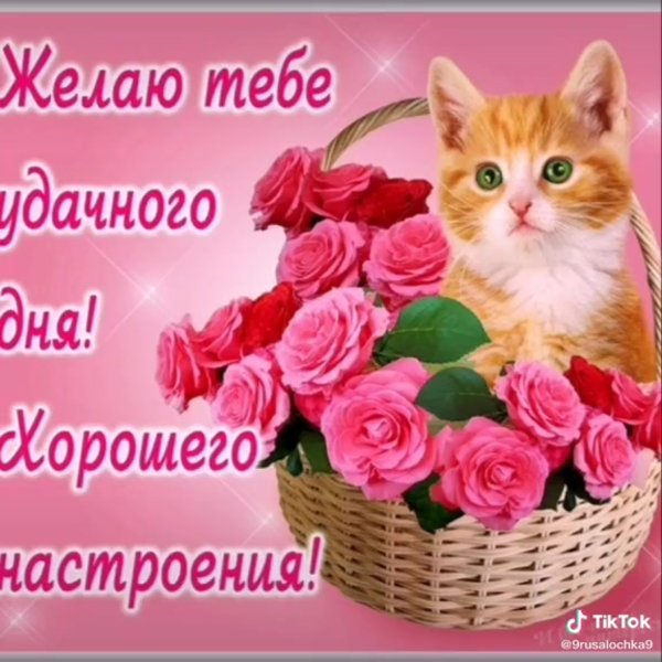 Хорошего дня и отличного настроения