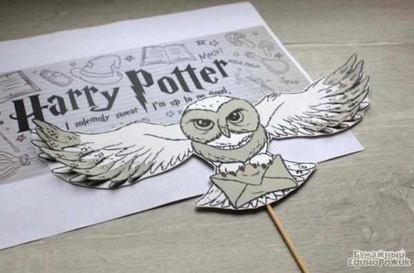 Атрибутика в стиле Гарри Поттера