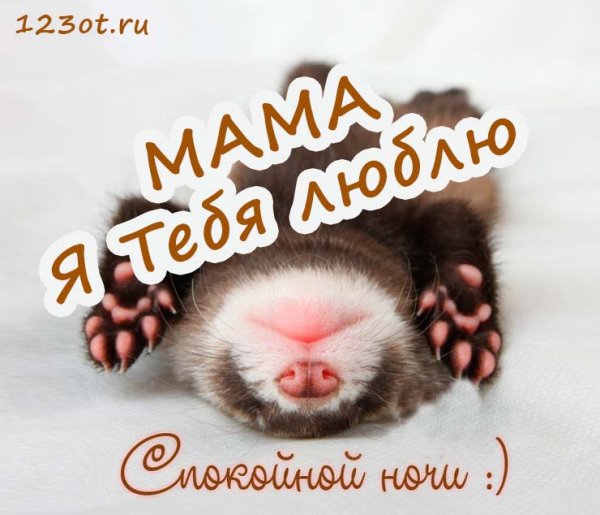 Спокойной ночи Максимочка